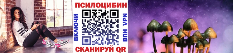 Псилоцибиновые грибы мицелий  Спас-Клепики 