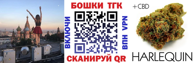 купить наркотик  Спас-Клепики  МАРИХУАНА сатива 